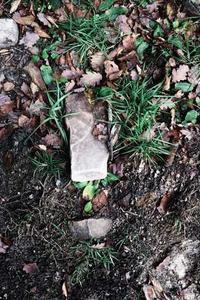 Leo Anders profile photo