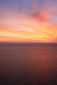 Maya Chen profile photo