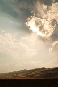 Alex Martinez avatar