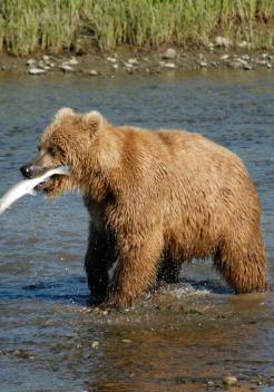 Leo Anders profile photo