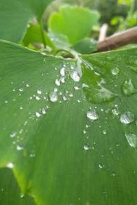 Alex Martinez avatar