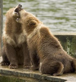 Leo Anders profile photo