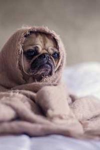 Leo Anders profile photo