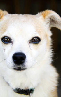 Alex Martinez avatar