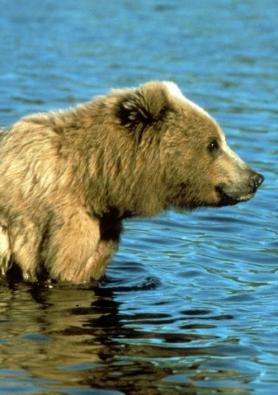 Leo Anders profile photo