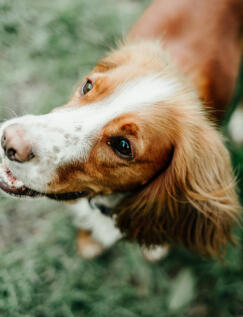 Jonas Richter profile photo