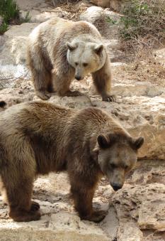 Alex Martinez avatar