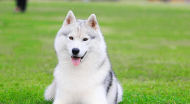 Jonas Richter profile photo