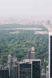 Maya Chen profile photo