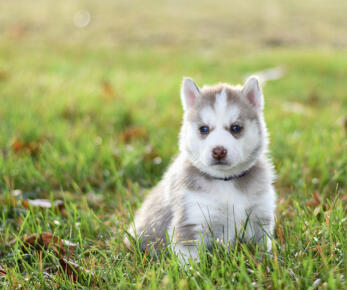 Leo Anders profile photo