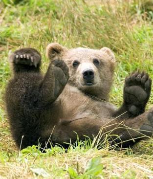 Alex Martinez avatar