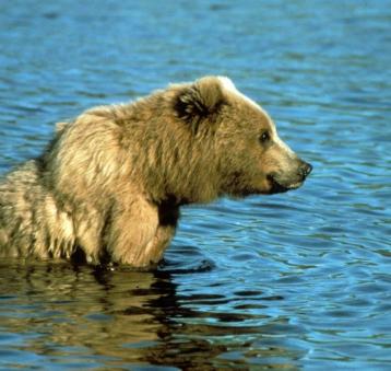 Maya Chen profile photo