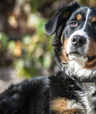 Jonas Richter profile photo