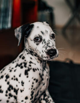 Alex Martinez avatar