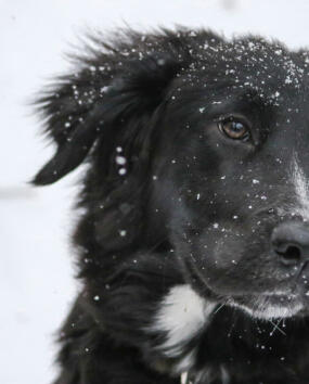 Maya Chen profile photo