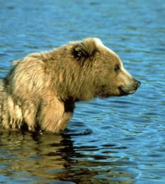 Jonas Richter profile photo