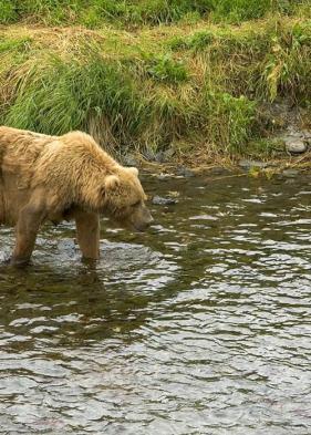 Alex Martinez avatar