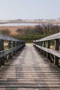 Leo Anders profile photo