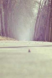 Leo Anders profile photo