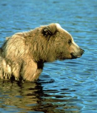 Leo Anders profile photo