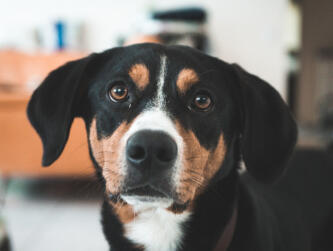 Jonas Richter profile photo