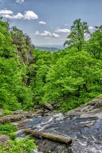 Leo Anders profile photo