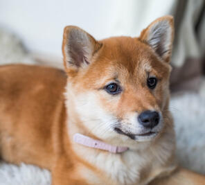 Alex Martinez avatar