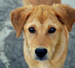 Leo Anders profile photo