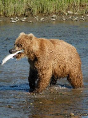 Maya Chen profile photo