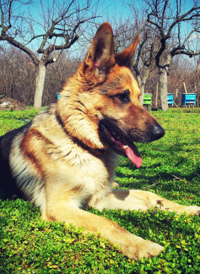 Jonas Richter profile photo