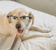 Jonas Richter profile photo