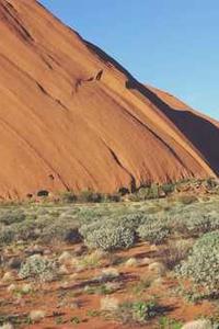 Jonas Richter profile photo