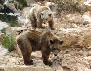 Maya Chen profile photo