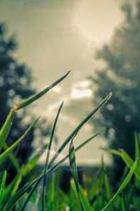 Maya Chen profile photo