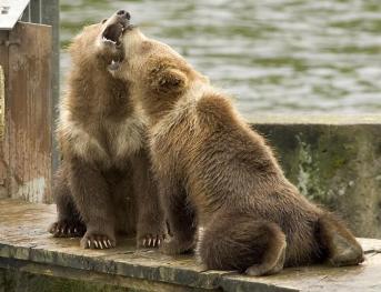 Leo Anders profile photo