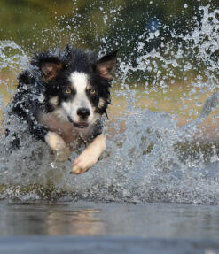 Jonas Richter profile photo