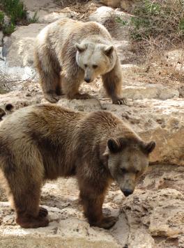 Alex Martinez avatar