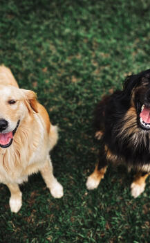 Leo Anders profile photo