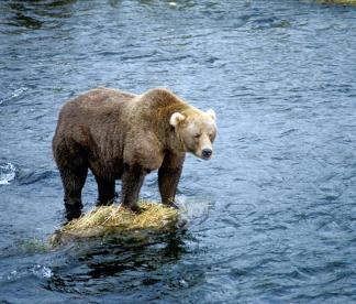 Alex Martinez avatar