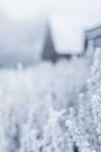 Jonas Richter profile photo