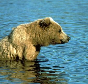 Alex Martinez avatar