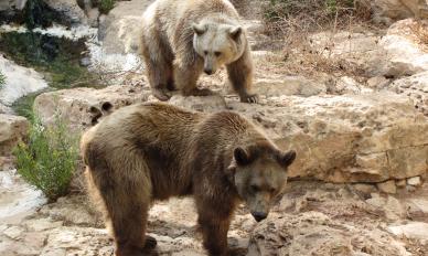 Maya Chen profile photo