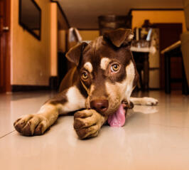 Jonas Richter profile photo