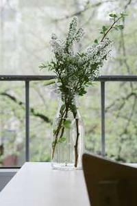 Leo Anders profile photo