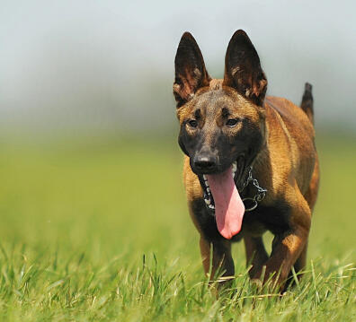 Jonas Richter profile photo