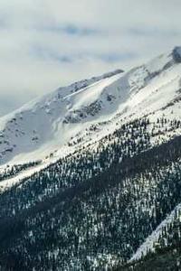 Jonas Richter profile photo