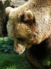 Maya Chen profile photo