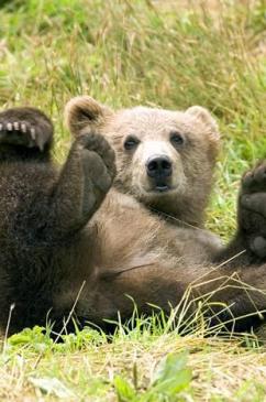 Maya Chen profile photo