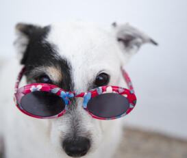 Jonas Richter profile photo