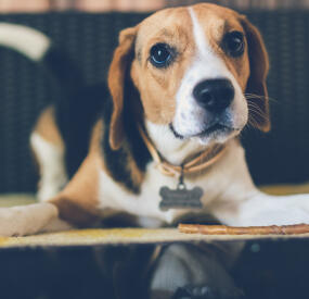 Jonas Richter profile photo